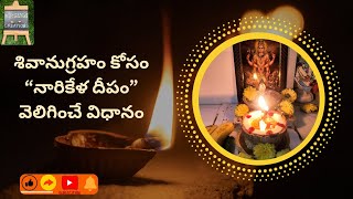 శివానుగ్రహం కోసం quotనారికేళ దీపంquot Narikela Deepam విలిగించే విధానం [upl. by Eceinwahs]