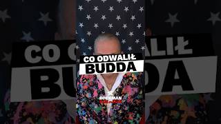 CO ODWALIŁ BUDDA inspiracja motywacja BuddaTV pasja uzaleznienie ​⁠​⁠ [upl. by Rezal]