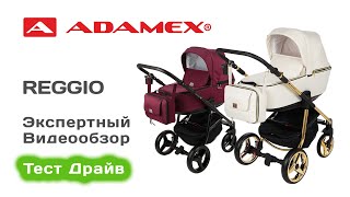 Adamex REGGIO Special Edition коляска 2 в 1 выбираем с экспертом на Тест Драйве [upl. by Annawat642]