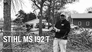 CHAINSAW INFORMATION  STIHL MS 192 T  Excellent Top Handel Chainsaw [upl. by Cammi]