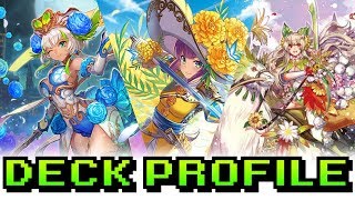 THE NEW LUARD HAS FINALLY ARRIVED  Blue Ahsha Deck Profile WITH COMBOS February 2018 [upl. by Masuh839]