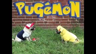 Pokémon  Doug The Pug [upl. by Arol]