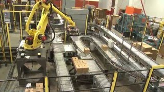 Robots Palletize 4 Production Lines in MultiLine Robotic Palletizing System  Currie by Brenton® [upl. by Hobbie]