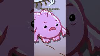 Giant Frogfish 🐸🐟 animation original cartoon [upl. by Duvall854]