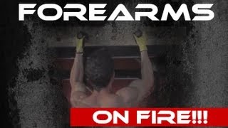 Forearm Workout Challenge FOREARM STRENGTH REQUIRED [upl. by Nivrem]