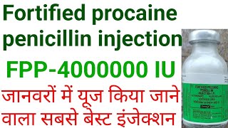 Fpp 40 iu injectionfortified procaine penicillin injection uses in hindihow to use fpp injection [upl. by Ohara]