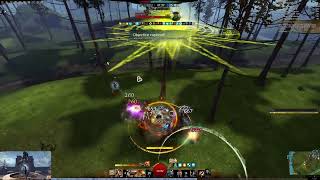 GW 2 World vs World WvW Roaming on Condi Berserker Warrior [upl. by Hajin]