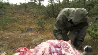 How to Quarter and Pack Game out of the Backcountry  Conservation Field Notes with Steven Rinella [upl. by Alo]