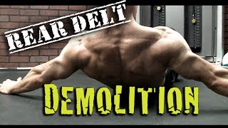 REAR DELTS in Just 4 MOVES  Including NO EQUIPMENT options [upl. by Narmis]