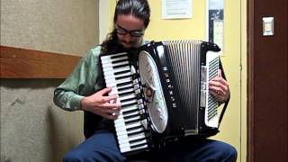 Title Theme The Legend of Zelda Ocarina of Time accordion cover [upl. by Yankee]