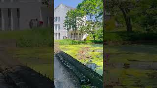 පුරවර සරසවියේ අසිරිය❤ nature university srilanka unilife colombo education nature beautiful [upl. by Annairol]