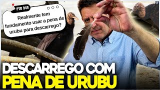 DESCARREGO com PENA DE URUBU funciona [upl. by Alithea696]