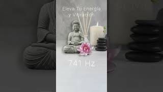 ELEVA LA VIBRACIÓN DEL HOGAR • LIMPIEZA ENERGÉTICA 741hz [upl. by Dominica]