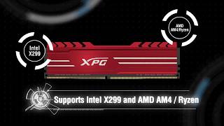 XPG GAMMIX D10 DDR4 Memory Module – X factor with extra teeth [upl. by Haynor]