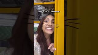 Khelna koodna aur sona🐈 catlover catmemes pets catvideos funny relatable [upl. by Tnirb]