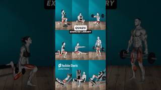 BEST QUADS EXERCISES [upl. by Compton]