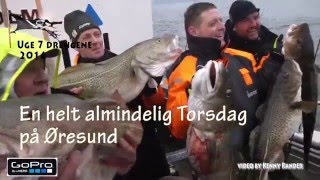 StorTorsk  Øresund Video Kenny Rander [upl. by Nyvlem]