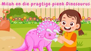 Afrikaanse Stories vir Kinders  Afrikaanse Stories oor Diertjies en Kindertjies [upl. by Debbi]