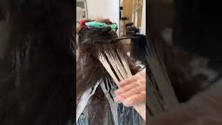 How to FreeHands Balayage  Balayage Tutorial [upl. by Reniti]