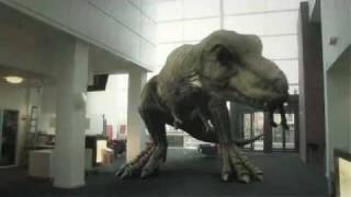 T Rex In The Atrium 2010 [upl. by Judi625]