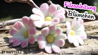 Filzanleitung Blume  Tutorial  Nassfilzen [upl. by Almat]