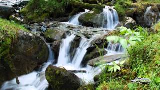 Babbling Brook Water Stream Soundscape Full 60 Minute Track [upl. by Baerl]