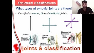 Joints  3 Types of joints Structural and Functional Classificationanatomy bones joints [upl. by Aldos]