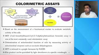 Cell Viability and Cytotoxicity [upl. by Seiber521]