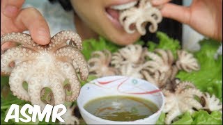 ASMR BABY OCTOPUS CHEWY EATING SOUNDS NO TALKING  SASASMR [upl. by Nalak]