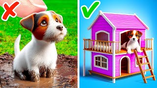 Jai construit une chambre miniature pour mon chiot🐶💖 Créations amp Gadgets pour les maîtres danimaux [upl. by Ramilahs]