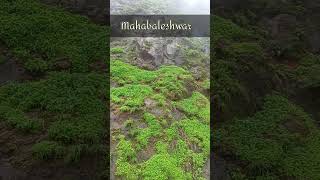 mahabaleshwar ❤️ Beautiful nature hillstation maharashtra satara [upl. by Murrell]