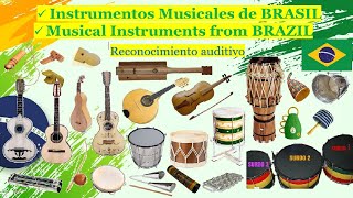 🌎 Instrumentos Musicales de BRASIL Instruments Musical from BRAZIL [upl. by Esimaj]