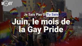 Juin le mois de la Gay Pride [upl. by Notyep]