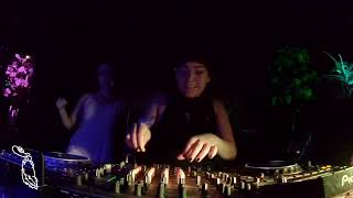 Madimoneymil  09182024 Lucky Rabbit LIVE  Iron Cow [upl. by Akcirre]