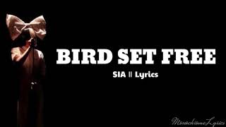 Bird Set Free – SIA Lyrics  MonochromeLyrics [upl. by Demha]