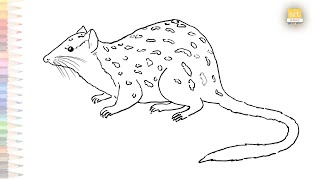 Northern Quoll drawing easy  How to draw Quoll step by step  drawing videos tutorials [upl. by Riggins]