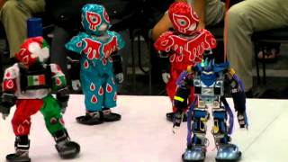 Robot ProWrestling Dekinnoka13 The 8th Match [upl. by Norry590]