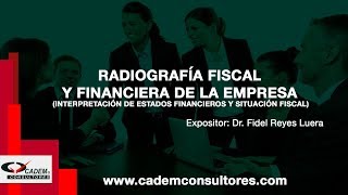 Radiografía fiscal y financiera de la empresa [upl. by Odell]