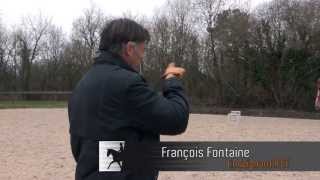 Cours dobstacle à lEcole Nationale dEquitation [upl. by Nazario]