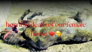 Sad NewsHorrible death of our Female horse😞💔Badal ny khana pena chor😢Punjabdyrung586 [upl. by Shipman]