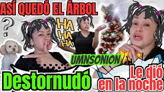 🚨 Así quedó el árbol 🎄✨ fue la Deychi 🤨le dió en la noche 🌛😁 [upl. by Annaierb]