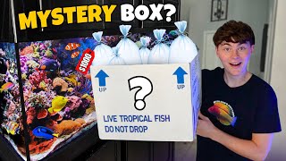 BUYING a 1000 MYSTERY BOX for My SALTWATER AQUARIUM [upl. by Cudlip]