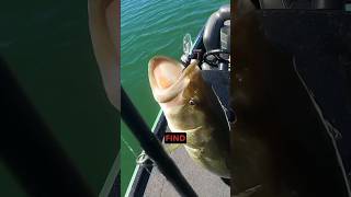 4 Mistakes July Bass Fishing during Summer outdoors [upl. by Enomyar]