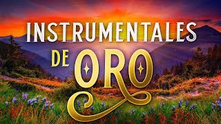 Musica Instrumental de Oro Para Escuchar  30 Grandes Exitos Instrumentales [upl. by Fleischer]