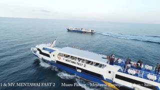 MV Mentawai Fast [upl. by Edlihtam]