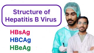 Hepatitis B Virus HBV  HBsAg  HBcAg  HBeAg [upl. by Yelad200]