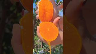 Satisfying Fruit Peeling oddly therapeutic 🥭 [upl. by Dijam]