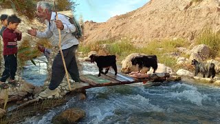 The nomadic life of Irans Zagros grandsons meeting with Gol Mameds grandfather [upl. by Mccreary]