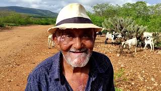 SEU PEDRO JACÃ“ SEMPRE FELIZ NA SUA CAMINHADA PELO NOSSO SÃTIO MAMOEIRO [upl. by Nolubez849]