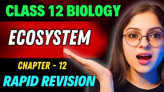 Ecosystem Rapid Revision 🔥 Full Revision in 30 Min  Class 12 Board Exam 2024 [upl. by Nywles]